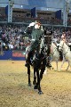 Cavalry - 00304